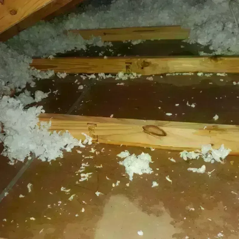 Attic Water Damage in Port Barrington, IL