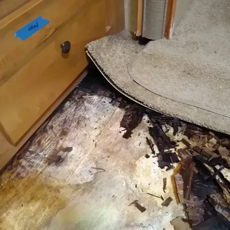 Wood Floor Water Damage in Port Barrington, IL